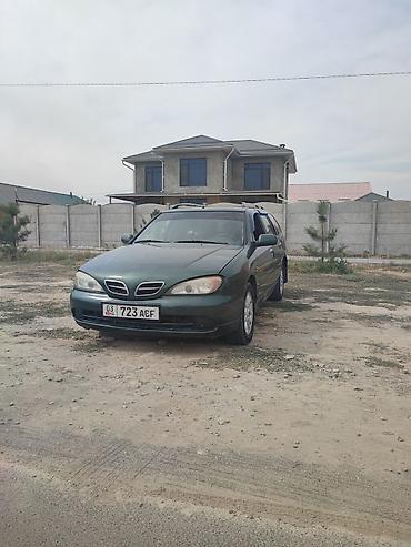 Продажа авто: Nissan Primera: 2001 г., 1.8 л, Механика, Бензин, Универсал — 1