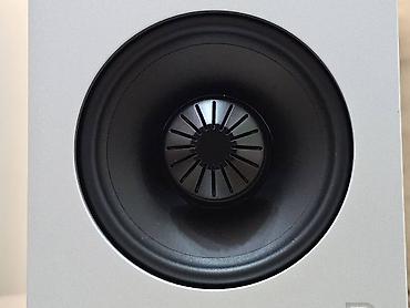 Zvučnici i stereo sistemi: Definitive Technology pasivne bookshelf zvučnike (par), belo visoki — 10