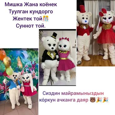 костюм мишки тедди для взрослых на прокат: Ростовая кукла