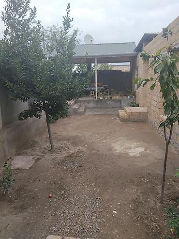 gencede ev: Ev 4 sotda yerləşir, kolidor tipli,1 zal3 yataq otağı, mətbəx, hamam — 3
