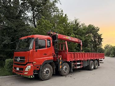 ас машина: Dongfeng Paladin: 2021 г., Механика, Дизель — 1