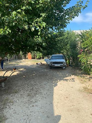 Torpaq sahələrinin satışı: 7 sot, Tikinti, Kupça (Çıxarış) — 3