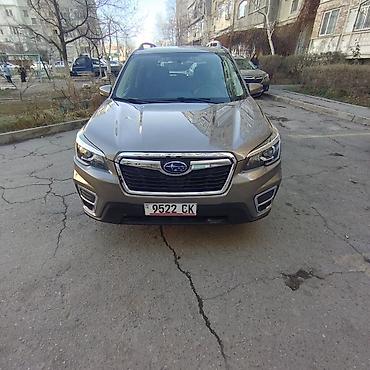 Subaru: Subaru Forester: 2020 г., 2.5 л, Вариатор, Кроссовер — 6