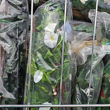 Baštenska dekoracija: Ograda za dvorišta, bašte, terase, balkone, izrađena od prirodnog — 10