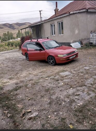 Toyota: Toyota Corolla: 1995 г., 1.6 л, Механика, Бензин