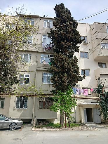 zabrat ev: Bakı, 3 otaqlı, Köhnə tikili, 68 kv. m — 7