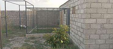 Torpaq sahələrinin satışı: 10 sot, Tikinti, Mülkiyyətçi, Kupça (Çıxarış) — 3
