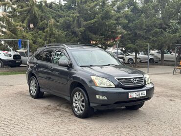 лексуз харер: Lexus RX: 2004 г., 3.3 л, Автомат, Газ, Кроссовер