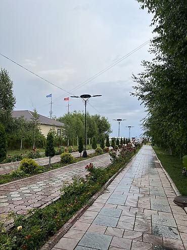 Аренда коттеджей и домов на Иссык-Куле: Коттедж, Asia Palace, Сары-Ой, 7 мест at lalafo.kg — 15 Аренда коттеджей и домов на Иссык-Куле: Коттедж, Asia Palace, Сары-Ой, 7 мест — 15
