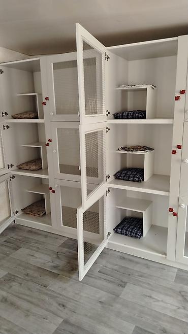Qəfəslər: Pişiklər üçün mini-otel / saxlama otağı - Qapalı və təhlükəsiz — 2