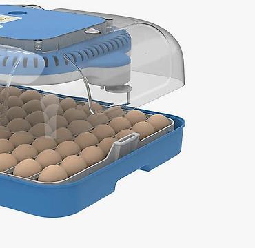 ручной инкубатор: Инкубатор для яиц с автоматическим управлением и LED-просветкой 70яиц — 2