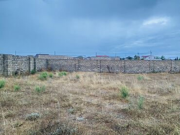 Həyət evləri və villalar: 6 sot, Tikinti, Mülkiyyətçi, Bələdiyyə