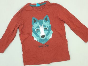 bluzka z falbankami na rękawach: Blouse, Little kids, 4-5 years, 104-110 cm, condition - Very good