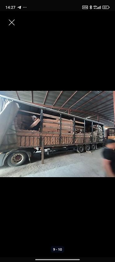 schmi̇tz: Прицеп, Schmitz Cargobull, Шторный, Б/у — 7