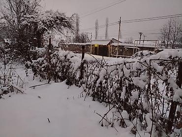 Torpaq sahələrinin satışı: 10 sot, Biznes üçün, Mülkiyyətçi, Kupça (Çıxarış) — 5