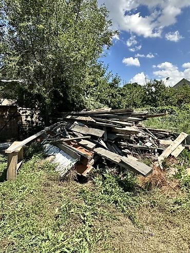 бараны арашан цена: Отун сатылат Каракол шаарында — 4