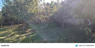 torpaq gence: 6 sot, Kənd təsərrüfatı, Kupça (Çıxarış) — 9