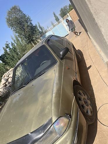 ск шерой: Daewoo Nexia: 2008 г., Бензин, Седан — 2