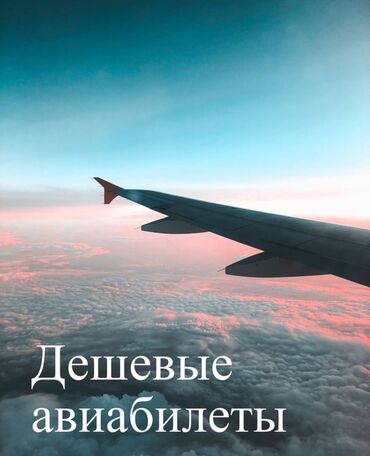 билеты в россию: Авиабилеты онлайн - airticket •билеты по всему миру •широкий выбор