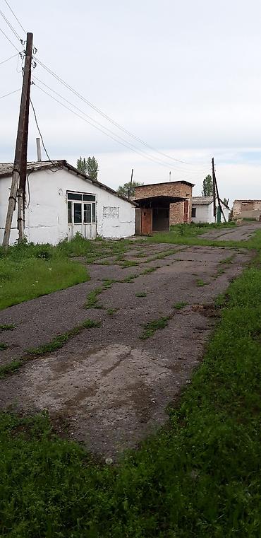 Кыймылсыз мүлк: Мүйүздүү бодо мал фермасы, 75 соток, Канализация, Скважина — 1