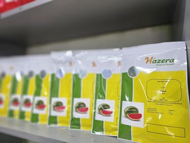 Овощи: Семена овощей: Помидоры, Огурцы, Лук, Самовывоз, Бесплатная доставка, Платная доставка — 14