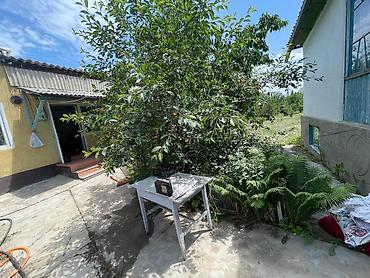 Продажа коттеджей и домов: 🏡 Продается дом в селе Ойтал, Тюпский район, Иссык-Кульская область — 8