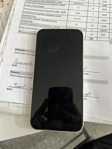 IPhone 13, 128 ГБ, цвет Starlight (светлый) аккумулятор родной Без