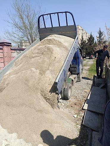 виноград оптом: Отсев, Для стяжки, Оптом, В розницу, Портер — 1