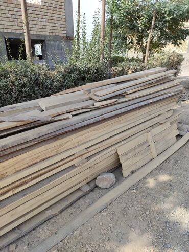 Декоративные деревья: Саженцы деревьев: Павловнии, Платная доставка at lalafo.kg — 16 Декоративные деревья: Саженцы деревьев: Павловнии, Платная доставка — 16