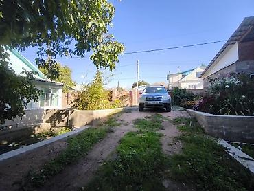 Продажа отелей и хостелов: Продается ухоженная усадьба с двумя домами и плодоносящим садом в — 7