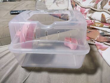 Oyuncaqlar: Kiçik gəmiricilər üçün qaçış topu və daşıma konteyneri seti. - — 7