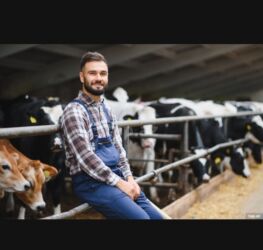 Mühafizə, təhlükəsizlik: Çoban ailəsi axtarılır. 500 heyvandan ibarət fermadı, hər bir şəraiti