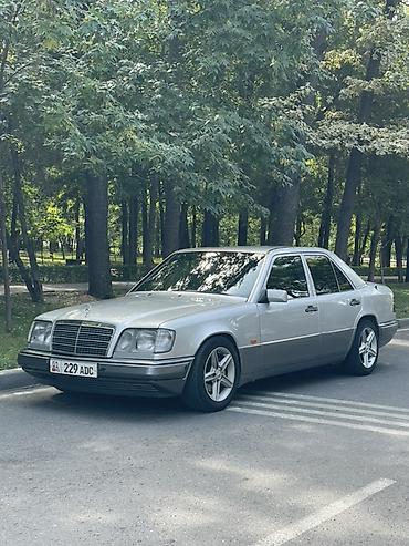 двойной выхлоп: Mercedes-Benz W124: 1993 г., 3.2 л, Автомат, Бензин, Седан — 9
