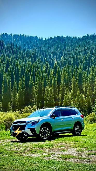 awd: Subaru Ascent: 2024 г., 2.4 л, Вариатор, Бензин — 1