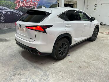 белый лексус: Lexus NX: 2019 г., 2.5 л, Автомат, Бензин