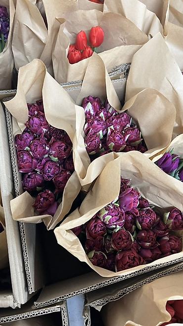 Букеты из живых цветов: Здравствуйте! 🌷 У вас есть прекрасная возможность заказать тюльпаны к — 9