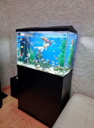 Heyvanlar: Akvarium AQUAEl akvarium ZAVOD ISTEHSALI 130 Litr Uzunu 75 sm