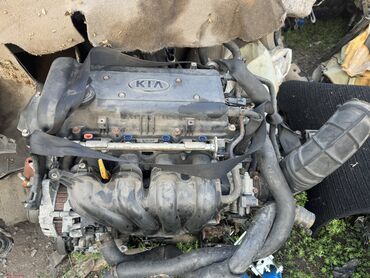 Двигатели, моторы и ГБЦ: Двигатель Kia Ceed 2007 Контрактный из Германии, в отличном — 2