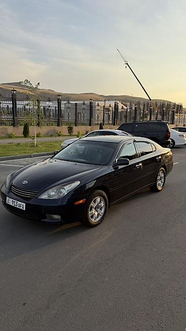 mark 3: Toyota Windom: 2003 г. — 1