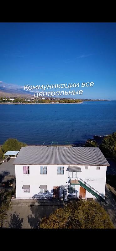 чолп: 83 соток, Бизнес үчүн, Кызыл китеп — 9