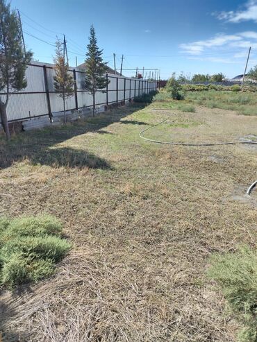 Torpaq sahələrinin satışı: 30 sot, Kənd təsərrüfatı, Mülkiyyətçi, Bələdiyyə — 4