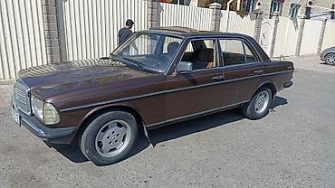 на мерс 123: Mercedes-Benz W123: 1984 г., 2 л, Механика, Бензин, Седан — 3