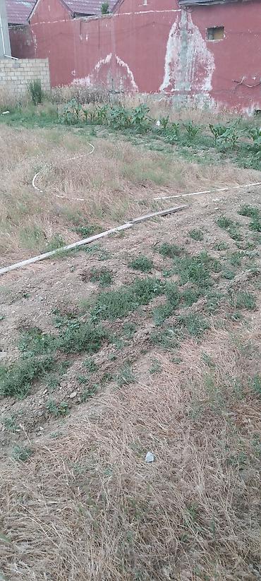 Torpaq sahələrinin satışı: Kənd təsərrüfatı — 2