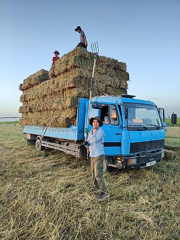 тс кg: Грузовик, Mercedes-Benz, Дубль, 7 т, Б/у — 7