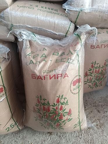 Кормовые растения: Семена кормовых растений: Эспарцет, Самовывоз, Бесплатная доставка, Платная доставка — 6