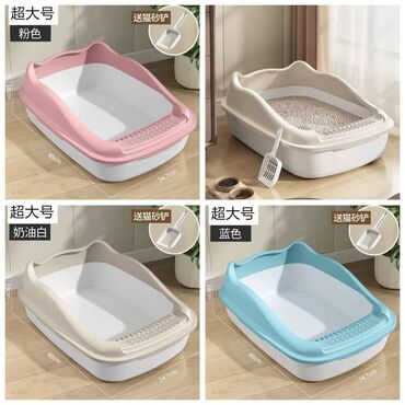 Зоотовары: Продаю приспособление для выращивания травы для животных и людей(в — 20