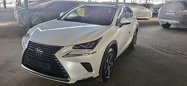 Lexus NX: 2020 г., Вариатор, Гибрид, Кроссовер