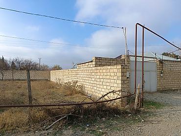 Torpaq sahələrinin satışı: 25 sot, Kənd təsərrüfatı, Mülkiyyətçi, Kupça (Çıxarış) -da lalafo.az — 2 Torpaq sahələrinin satışı: 25 sot, Kənd təsərrüfatı, Mülkiyyətçi, Kupça (Çıxarış) — 2