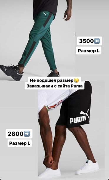 puma спортивный костюм: Спортивный костюм L (EU 40)