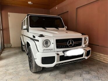 Soyutma və qızdırma sistemləri: Mercedes-Benz G class, 2014 il, Almaniya